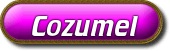 Cozumel Dolphin Tours